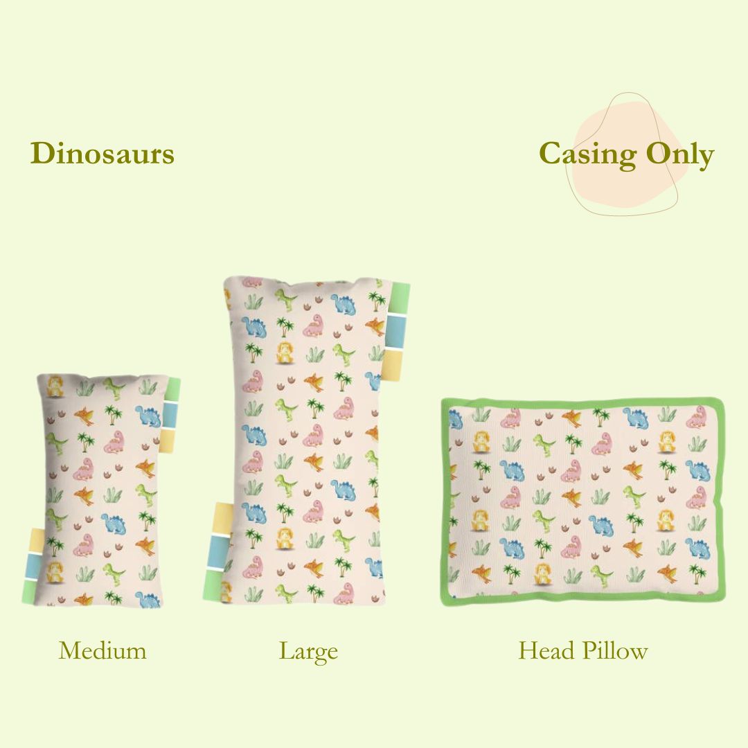 Dino Adventure (Pillow Case Only)