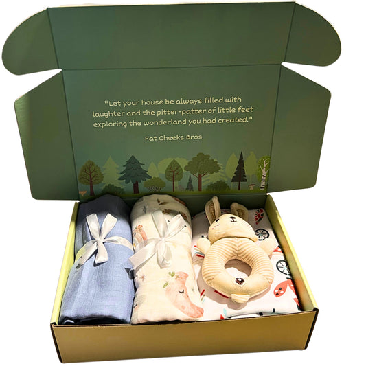 Joy in a box Gift Set (0-6 months)