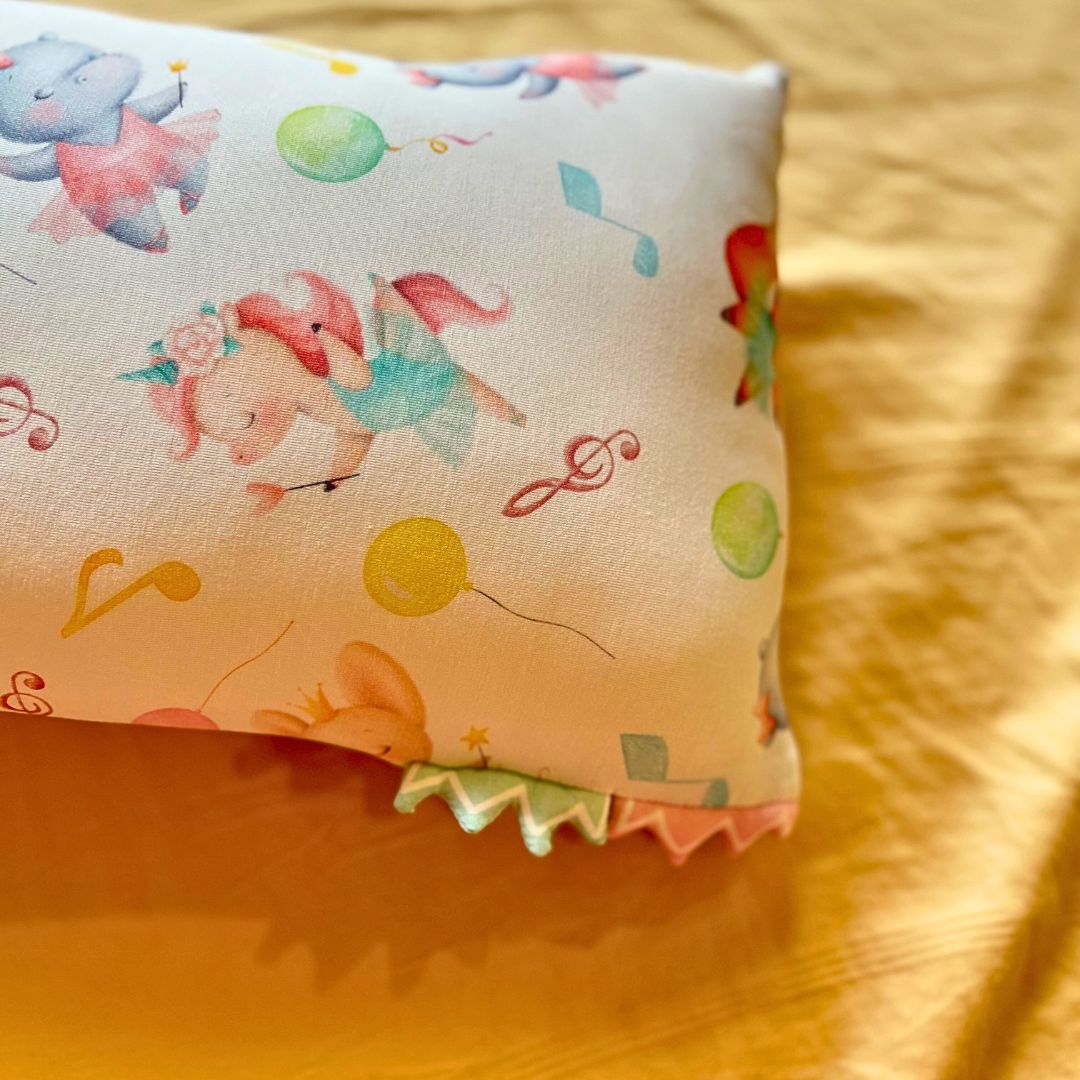 Dreamy Ballerinas ( Pillow Case Only) New!