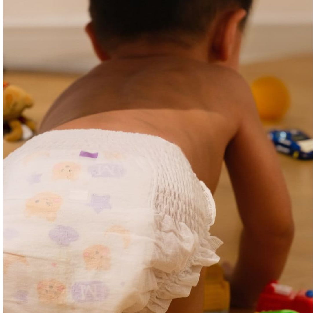 BearyNight Premium Diapers (Pants)